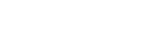 VZA International | Logo White